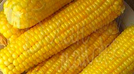 Рецепт вареной кукурузы